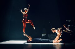 Losers Cirque Company - Konkurz