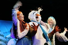 Sněhová královna v Ledovém království