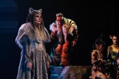 KNIHA DŽUNGLÍ I Mladá Boleslav