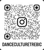 Vaib 2025 / Do hloubky