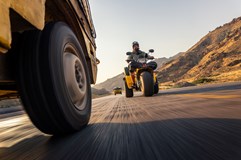 Žlutá žába pluje do Mongolska