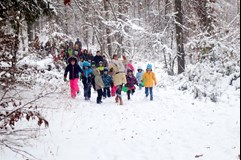 Divadlo DIP - Vánoční stromocity