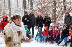 Divadlo DIP - Vánoční stromocity