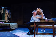 Agentura Harlekýn - Scény z Manželského života