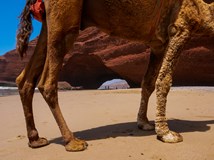 ExpeNight - Hranice Mejnstrýmu