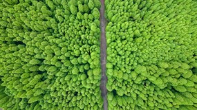 Kanáry, Madeira a Azory - Tomáš Štěpán