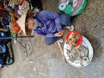 Letní škola ve Vietnamu: studium, kultura a zážitky