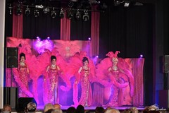 Travesti Divoké kočky v Brně-Tuřanech