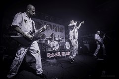 Disharmonic Orchestra | Epitome | Dissected Flesh | Žampach