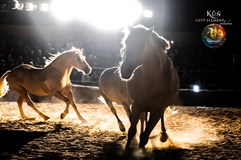 Kůň Pátý Element – adventní show