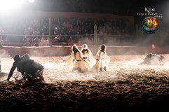 Kůň Pátý Element – adventní show