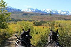 Ako sa (ne)stratiť vo svete