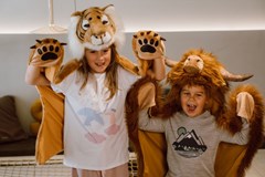 Vánoční Arts & Skibi Home