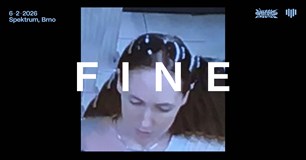 Fine