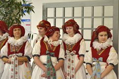 XXXI. Hanácký bál