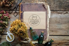 Bylinní spojenci pro energii a odolnost: adaptogeny v praxi