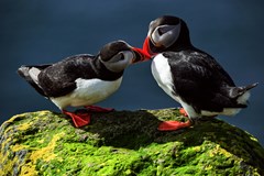 Jiří Kolbaba: Sedm divů Islandu