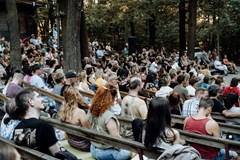 MAOK - Hledám cestu domů