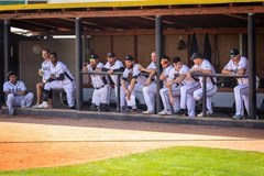 Draci Brno Baseball - sezónní permanentka 2026