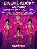 Travesti show Divoké kočky v Oslavanech