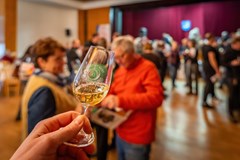 Josefský košt Kyjov 2026