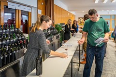 Josefský košt Kyjov 2026