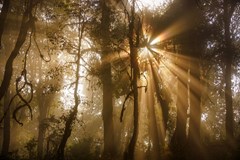 Nepál - zimní romance / Brno / Pavel Svoboda