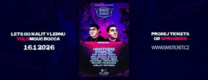 BASSOMNIA - RAVES & FIDGET