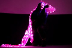 Mr Bear Czechia 2026: Election night