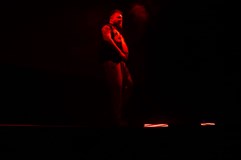 Mr Bear Czechia 2026: Election night