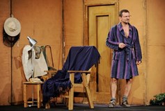 Velká zebra v Litvínově