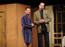 Velká zebra v Litvínově