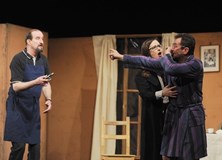 Velká zebra v Litvínově