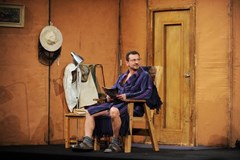 Velká zebra v Litvínově