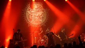 Punk Floid Nikočice