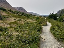 Digitálním nomádem na motorce aneb cesta po severní Americe