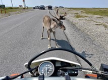 Digitálním nomádem na motorce aneb cesta po severní Americe