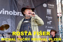 BENEFIČNÍ KONCERT KRÁLŮV DVŮR