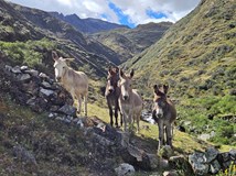 Peru - Dobrodružství v srdci And: 