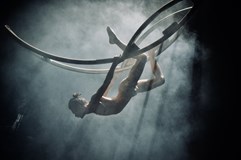 BoCirk: Erlend - Cizinec