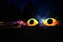 Festival Rosnička 2026