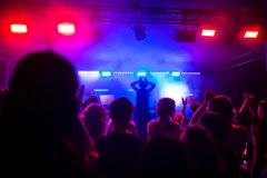 Festival Rosnička 2026