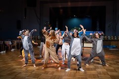 XVII. Reprezentační ples UJEP