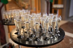 XVII. Reprezentační ples UJEP