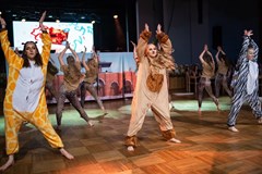 XVII. Reprezentační ples UJEP