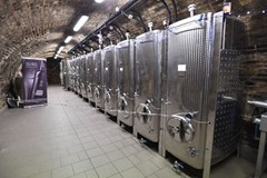 Den otevřených sklepů v Pavlově - jarní termín 2025