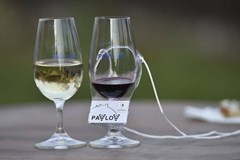 Den otevřených sklepů v Pavlově - jarní termín 2025