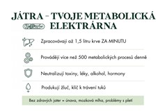 Webinář: Jak na detox, půsty a očistu těla