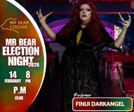 Mr Bear Czechia 2026: Election night