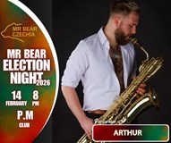 Mr Bear Czechia 2026: Election night